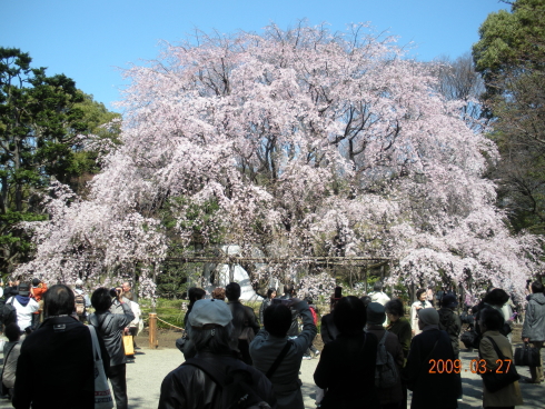 �Z�`���̍��Q�O�O�Xa