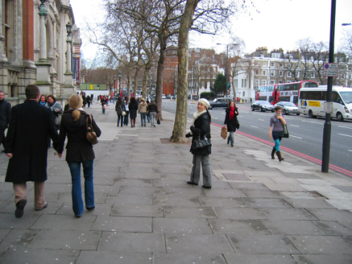 �V�e�B�[��������q